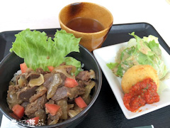 徳島県 徳島阿波おどり空港 ジビエ料理 鹿丼定食 鹿コロッケ