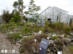 徳島県徳島市国府町 徳島大学 薬用植物園 2015