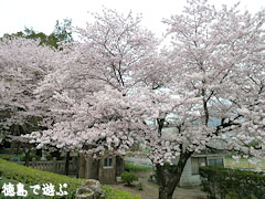 ��ߤ褷ĮΩ���̱¯������ ��