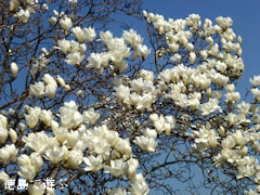 ��ë�� �˲��� �ϥ��⥯��� 2012