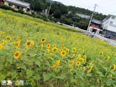 �͹�Ȭ��Ȭ�ս���� �輷�ֻ��� ���ڻ� �� �Ҥޤ�� ������ 2013