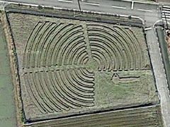 徳島県板野郡北島町 北島チューリップ公園 ししゃもねこ 地上絵 2015