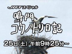 徳島県鳴門市大麻町 四国放送 JRTスペシャル 鳴門コウノトリ日記