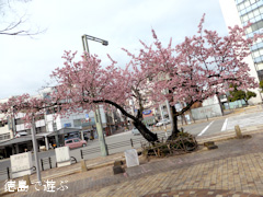 ξ������� ���� 2014