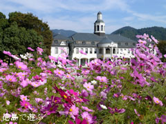 ����ԥɥ��Ĵ� �����⥹ 2012