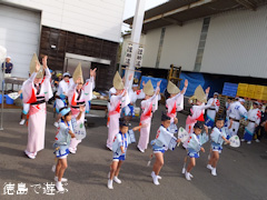 本家松浦酒造場 鳴門鯛 蔵開き 2013