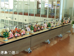 徳島県板野郡松茂町 徳島阿波おどり空港 ひな人形 2016