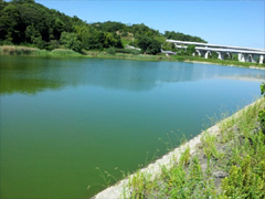 ���� ���ӤΥ��˥Х� 2013