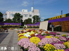 鴨島 菊人形 菊花展 2011