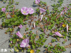 ÌÄÌç ÀéÄ»¥öÉÍ ÉÍÃë´é 2012