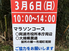 徳島県阿波市 阿波シティマラソン 2016
