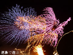 鳴門市納涼花火大会 2011