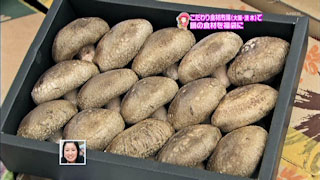 新野木材株式会社 しいたけ侍
