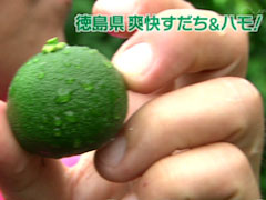 満点☆青空レストラン 徳島県 すだち&ハモ