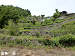 高開の石積み