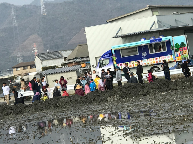 鳴門 れんこん掘り体験 18 あるでよ Blog