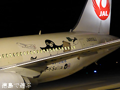 徳島阿波おどり空港 JAL特別塗装機 Suicaのペンギンジェット