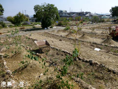 ������������� ���ѿ�ʪ�� 2012