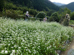 ���� �����β� 2012 ���� ����Τ ������β�