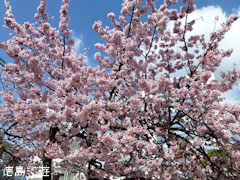 ξ������� ���� 2012