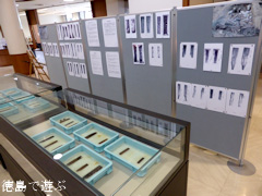 徳島県 埋蔵文化財発掘調査成果速報展 発掘とくしま 2014