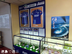 �����ϰ��Ͼ컺�ȿ������󥿡� ���������ƥ������祳���ʡ�