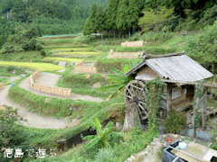 樫原の棚田 秋 2010