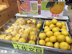 ����ϥ��������������� �ں�ʸö