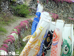 �Ⳬ�����Ѥ� ���Х�����ޤĤ� 2010