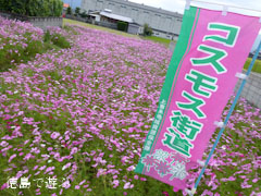 �����Υ����⥹ 2012