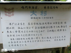 ¶Ë³Ú»û Ĺ̿¿ù 2011