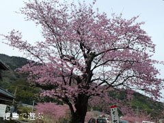 ����Ʋ ̴�� 2012