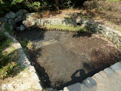 心願の鏡池 めがね橋 2011