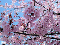 ��ë�� ˪�ܲ�� 2012