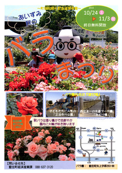 徳島県板野郡藍住町 あいずみ 秋のバラまつり 2015
