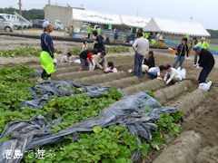 �����ä���β֤ޤĤ� 2013