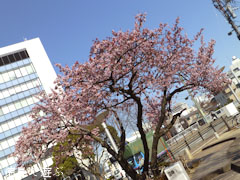 ξ������� ���� 2013