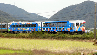 JR四国 アンパンマントロッコ四国一周号 高徳線 鳴門線 徳島県鳴門市