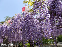 Ƹ�ػ� ƣ�β� 2013