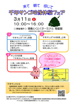徳島県板野郡松茂町 とくとくターミナル 千年サンゴ映像体験フェア