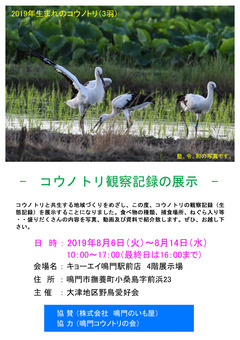 徳島県鳴門市 コウノトリ観察記録の展示