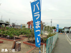バラ園 藍翠苑 秋のバラ祭り 2010
