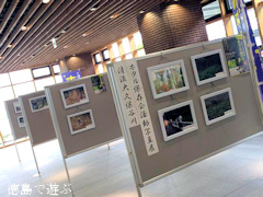 徳島県阿波市阿波町 清流 大久保谷川ホタル保存会活動写真展 2015