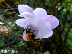 �ٿͤο� ϡ�ھ��� ��󥲥��祦�� 2012