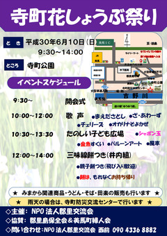 徳島県美馬市美馬町 寺町公園 花菖蒲園 寺町花しょうぶ祭り 2018