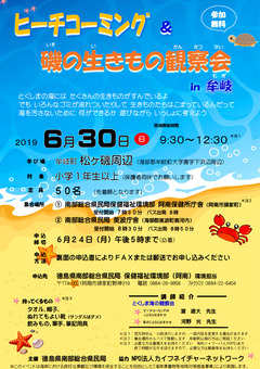 徳島県 牟岐町 松ヶ磯周辺 ビーチコーミング 磯の生きもの観察会 2019