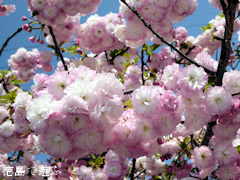 ���縩�������Į ���������� Ȭ�ź� 2016