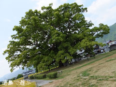 ���Ф��祯�� 2013