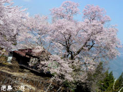 ��Ʋ �Ҥ礦����� 2012