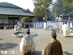 ����Ԣ��ε� ������ſ��� �������